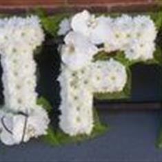 Wife Massed Green &amp; White