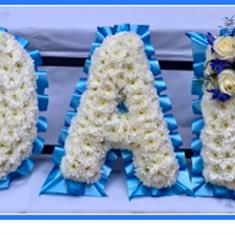 DAD Blue &amp; White