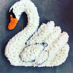 Swan floral tribute 2D