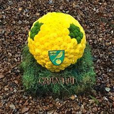 Green and Yellow football