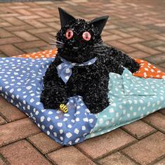 Cat 3D 