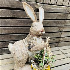 A beautiful bunny with a basket of ivy