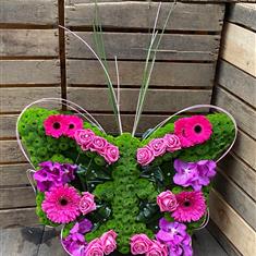 Modern butterfly 