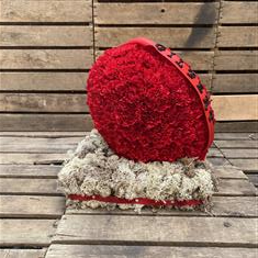 Rugby Ball 3D 