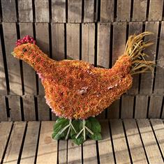 Little Red Chicken 2D