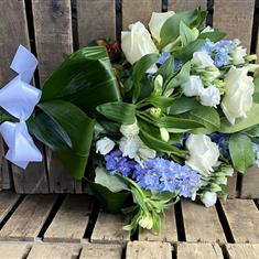 White and blue sheaf