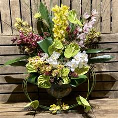 Orchid urn arrangement 