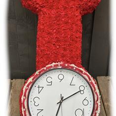 Nurse Watch 