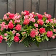 Bubblegum Rose Casket spray