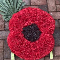 Poppy