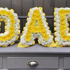 Dad in two tones 