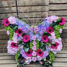 Butterfly  04-01-2022 21 48 23