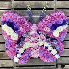 Butterfly pink purple and white