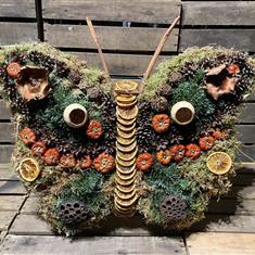 Butterfly woodland