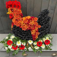 Cockerel 2D 