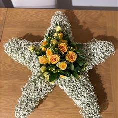 STAR