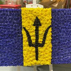 FLAG 2D