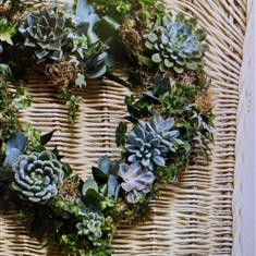 Succulent and Ivy heart
