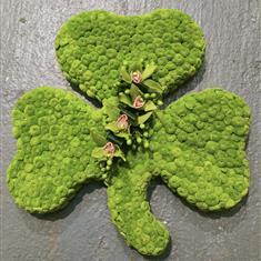 Shamrock
