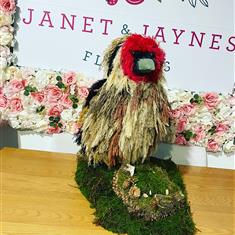 Goldfinch 3D