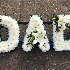 Dad with lily&#39;s