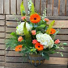 Cirus Urn Arrangement 