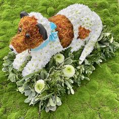 Jack Russel 3D 