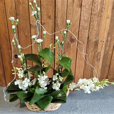 Boat arrangement 