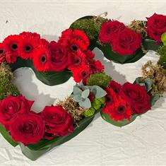Double open heart in clusters