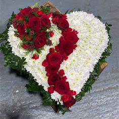 Broken heart red and white with loose buds and blooms