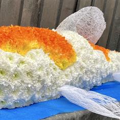 Koi Carp 3D