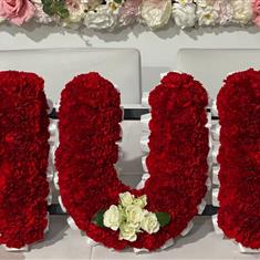 MUM in Carnations
