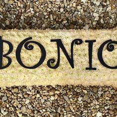Bonio Bone