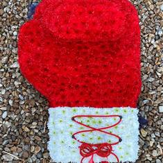 Boxing Glove Single 