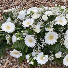 White Carnation and Gerbera Single end spray 