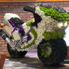 Motorbike 3D Green and White