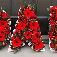 DAD Loose all Red with white Ribbon