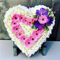 Heart Based White with a Gerbera Outline