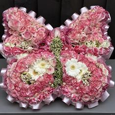 Butterfly Pink and White