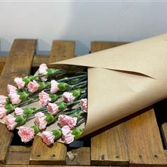 Entirely Carnations