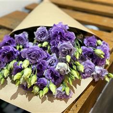 Entirely Purple Lisianthus
