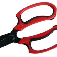Flower Shears 15cm x 15cm