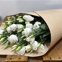 Entirely White Lisianthus 