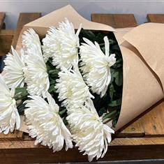 Entirely White Chrysanthemum Bloom