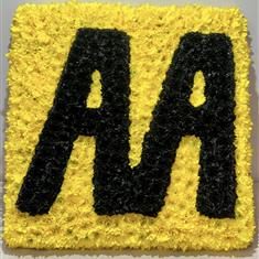 AA Tribute