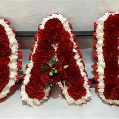 Dad TT Red and White 