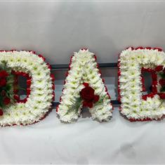 Red and White Dad 
