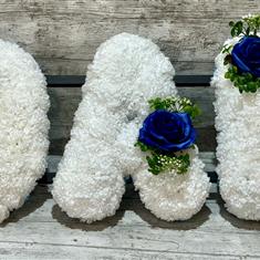 DAD rental in Blue and White