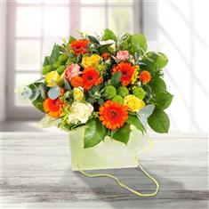 Citrus Gift Bag!
