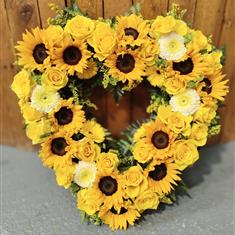 Sunflower open heart